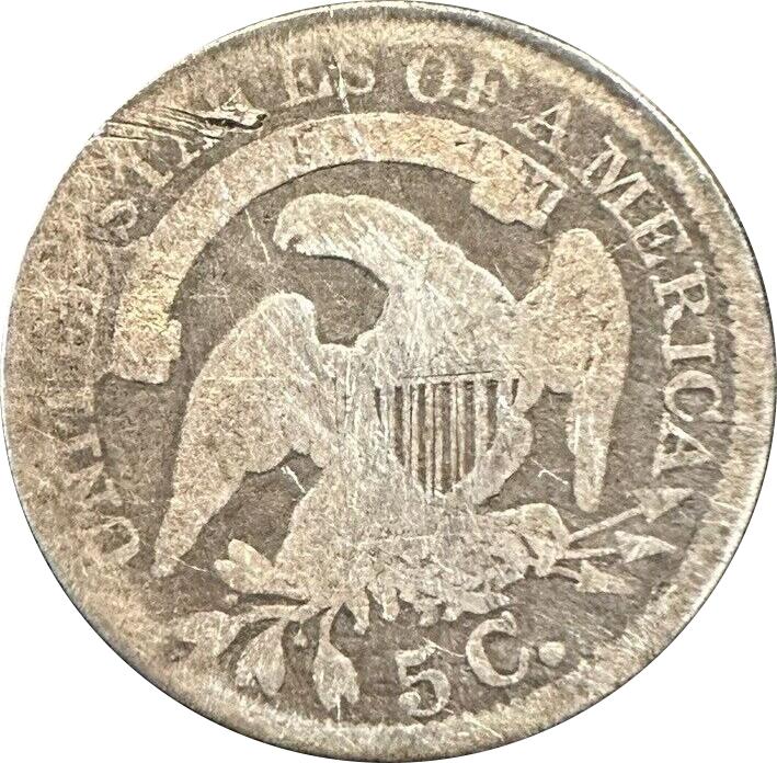 1836 LM-1.2 Cud Raw AG-03 Reverse